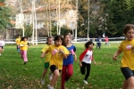 IMG_1292.JPG