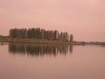 CIMG2732.jpg