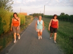 Filename=CIMG3416.jpg
Filesize=172KiB
Dimensions=1000x750
Date added=Aug 23, 2008 CIMG3416.jpg
