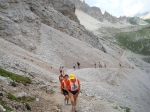 DSC00281.jpg