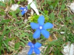 DSC00307.jpg