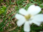 DSC00308.jpg