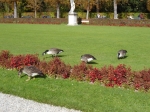 DSC05480.jpg