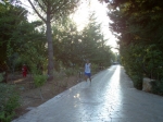 IM000442.jpg
