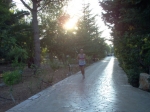 IM000443.jpg