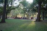 New_York_(194).jpg