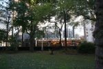 New_York_(195).jpg