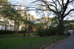 New_York_(196).jpg