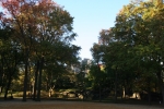 New_York_(201).jpg