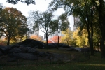 New_York_(203).jpg