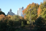 New_York_(207).jpg