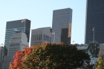 New_York_(210).jpg