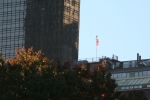 New_York_(211).jpg