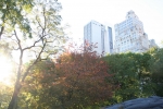 Filename=New_York_(222).jpg
Filesize=233KiB
Dimensions=1024x683
Date added=Nov 20, 2008 New_York_(222).jpg