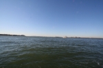 New_York_(258).jpg