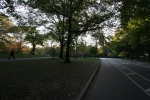 New_York_(28).jpg