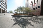 New_York_(304).jpg
