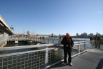 New_York_(313).jpg