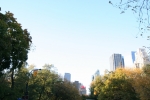 New_York_(32).jpg