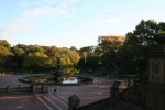 New_York_(49).jpg