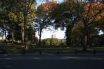 New_York_(56).jpg