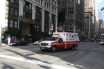 New_York_(84).jpg