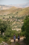 DSC_8996.jpg