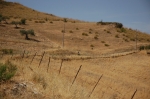 DSC_9067.jpg
