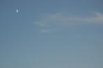 DSC_7879.jpg