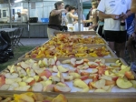 IMG_1722.jpg