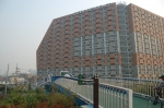 DSC_0979.jpg