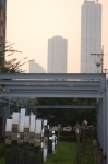 DSC_1002.jpg