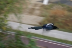 DSC04002.jpg