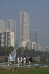 DSC04147.jpg