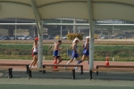 DSC04387.jpg