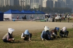 DSC04534.jpg