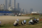 DSC04537.jpg