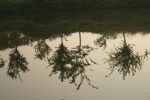 DSC04610.jpg