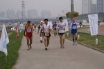DSC04782.jpg