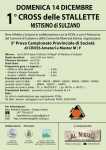 Filename=14_Dicembre_2008_Nistisino_di_Sulzano_BS.jpg
Filesize=160KiB
Dimensions=1024x1449
Date added=Oct 25, 2008 14_Dicembre_2008_Nistisino_di_Sulzano_BS.jpg