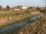 IMG_1551.JPG