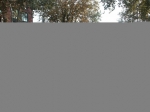 PICT0143.jpg