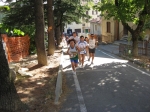 IMG_1263.jpg