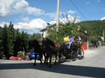 IMG_9828.jpg