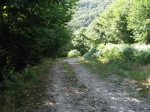 IMG_9851.jpg