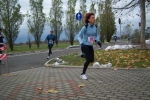 100_3935.jpg