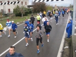 IMG_7880.jpg