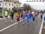 IMG_7884.jpg