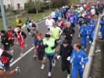 IMG_7889.jpg