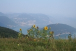 IMG_0020.JPG